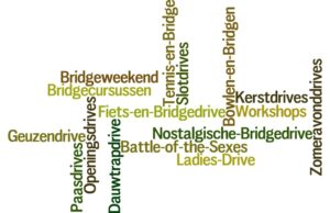 Verslagen van activiteiten