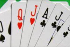 Maaike en Peter winnaars tijdens Westlandse Bloemendrive